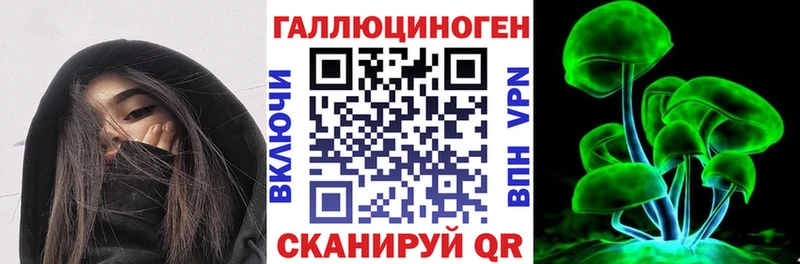 Галлюциногенные грибы MAGIC MUSHROOMS  kraken как войти  Дмитриев 